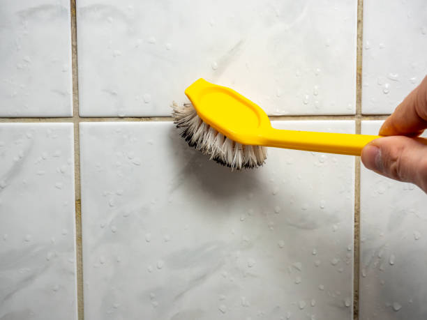 Best Home Mold Removal  in , WV