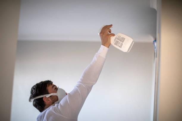 Best Office Mold Removal Services  in , WV