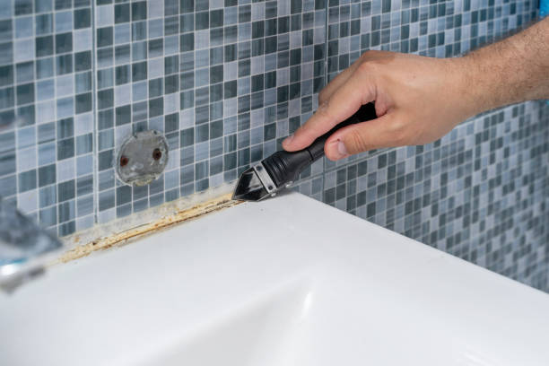 Best Same-Day Mold Removal  in , WV